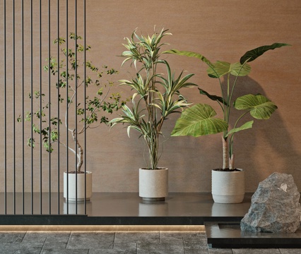 Modern Green Plant Potted Plant