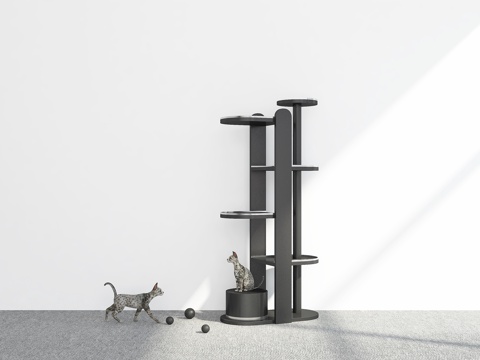 Modern Climbing Cat Rack