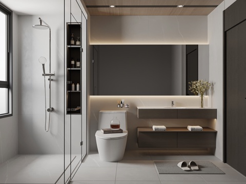 Modern Toilet Bathroom Cabinet Toilet Shower