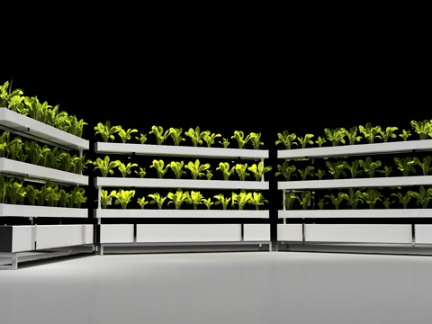 Modern soilless cultivation equipment hydroponic planting hydroponic vegetable cultivation equipment