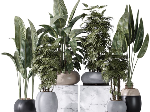 Modern Green Plant Potted Plant