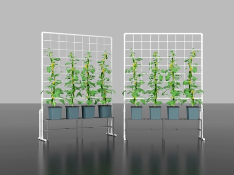 Modern Cucumber Hydroponic Equipment Cucumber Planting Equipment Hydroponic Vegetable Cultivation Equipment Planting Box