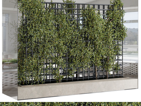 Modern Italian Vine Wall