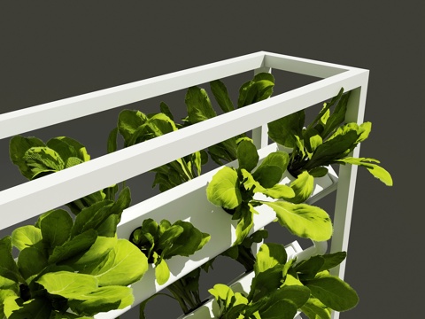 Modern soilless cultivation equipment hydroponic planting hydroponic vegetable cultivation equipment