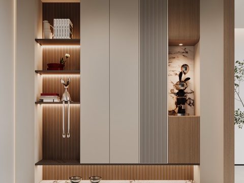 Modern Entrance Shoe Cabinet