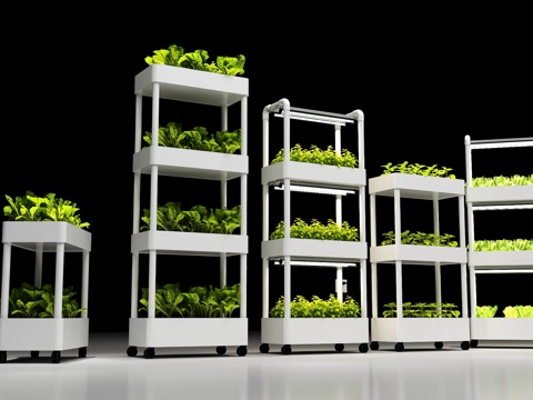 Modern soilless cultivation equipment hydroponic equipment hydroponic vegetable cultivation equipment planting box