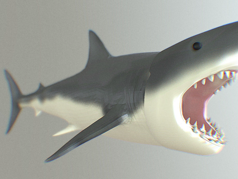 Great White Shark 3D Model
