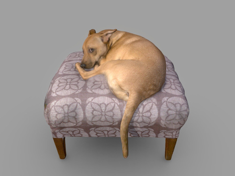 Lucy Dog Color 3D Scan