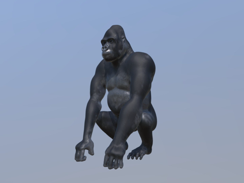 Gorilla