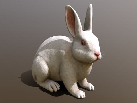 Rabbit