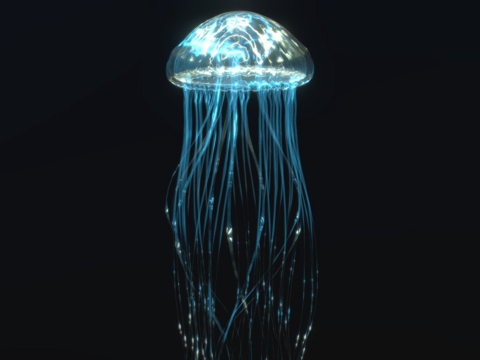 Jellyfish