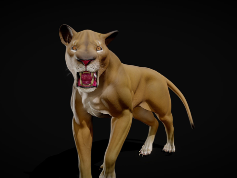 Strong lioness