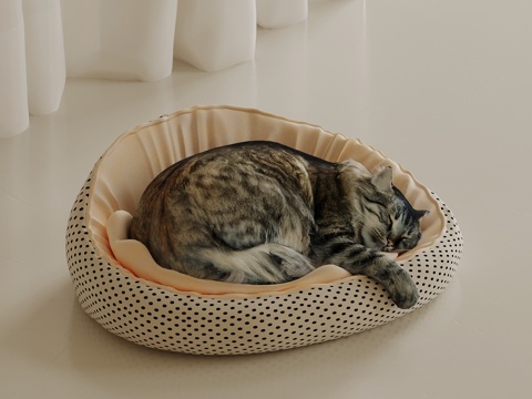 Modern pet cat animal