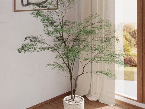 green plant modern green plant potted plant