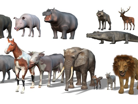 Animal belt bone low mold