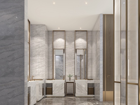 Hotel Public Toilet