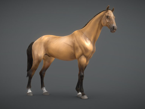 Horse-3D Sculpture