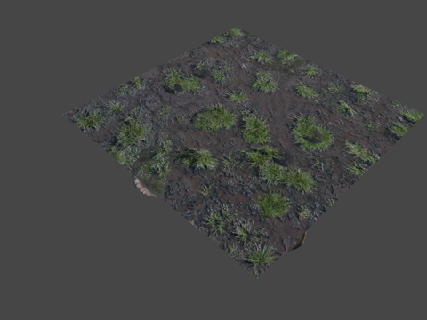 Vietnam Male Buffalo 3D Model