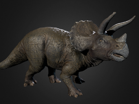 Photogrammetry test Triceratops