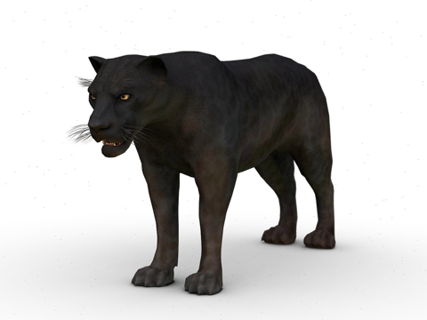 D black panther 3d model