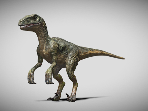 Velociraptor Binding 3D Model