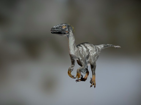 Velociraptor 121 Animation-Dinosaur Animation Set