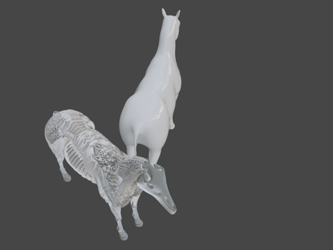 horse anatomical model