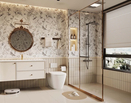 French Toilet Bathroom Cabinet Shower Toilet