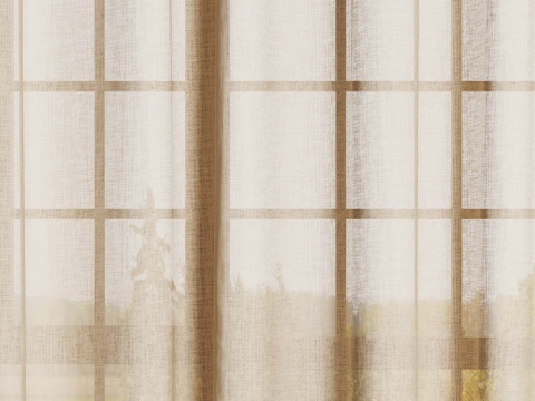 modern curtain gauze curtain