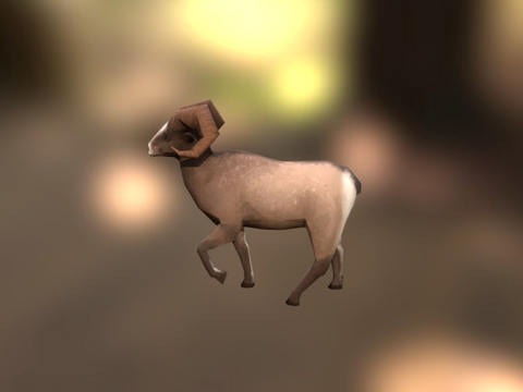 bighorn sheep