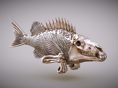 Fish head 2
