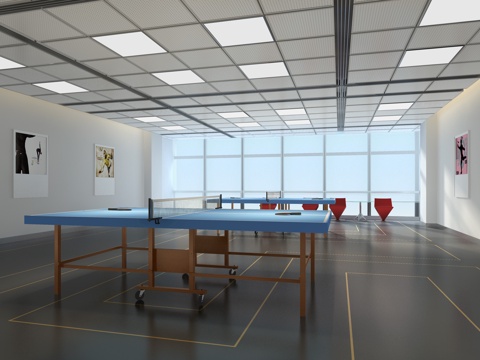 Table Tennis Room
