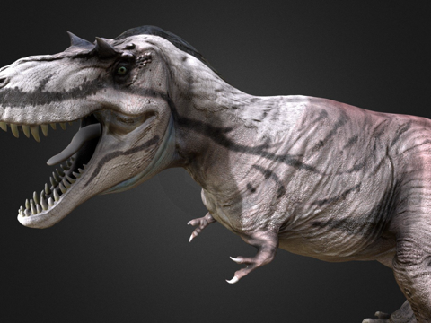 alberta dragon