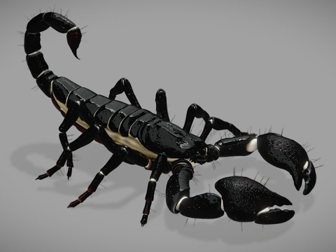 High Polygon-Emperor Scorpion