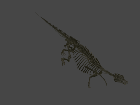 The Japanese Dragon