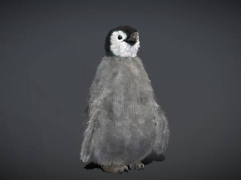 Little Emperor Penguin