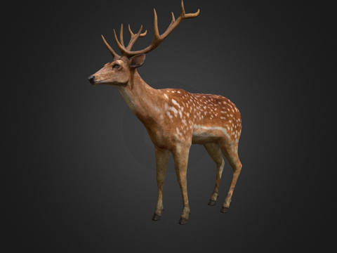 Bucks