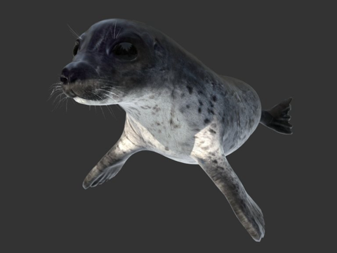common seal