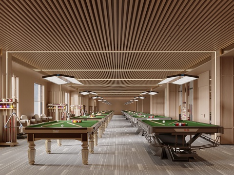 Modern Billiard Room