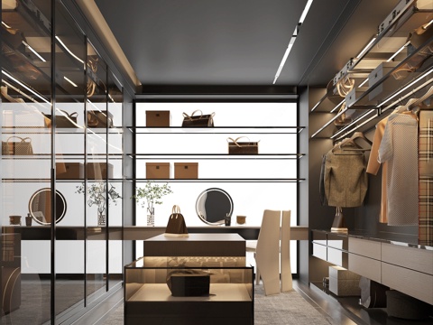 Modern Cloakroom