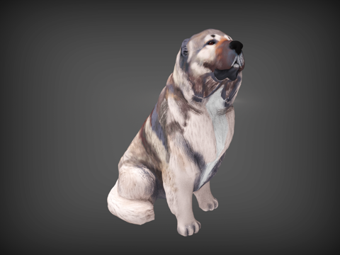 Dog Shepherd Pet Dog Squat Dog Alaska Husky