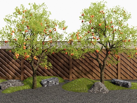Modern persimmon tree orange tree pomegranate tree fruit tree landscape tree tree micro terrain stone
