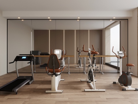 Gym Modern Gym Fitness Equipment
