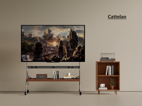 TV TV stand Floor TV Mobile TV Laser TV
