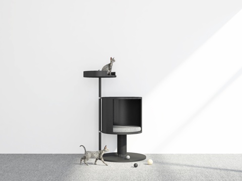 Modern Climbing Cat Rack