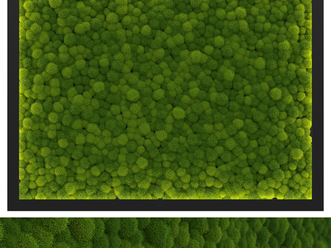 green plant wall plant wall moss