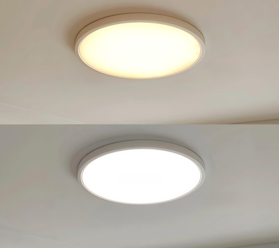 Modern ceiling lamp Decorative Light