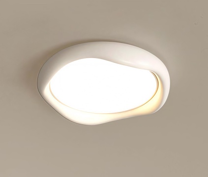 Modern ceiling lamp Decorative Light