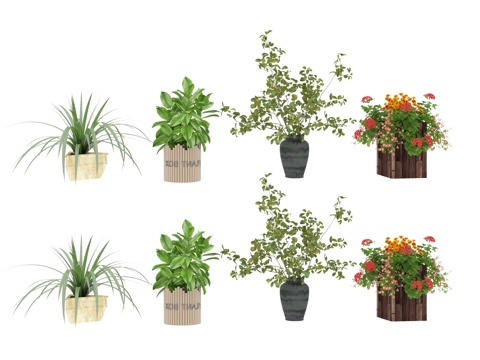 green plant potted plant