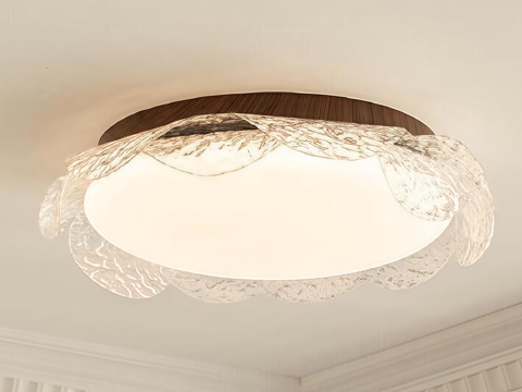 Middle Aged Ceiling Lamp Decorative Light